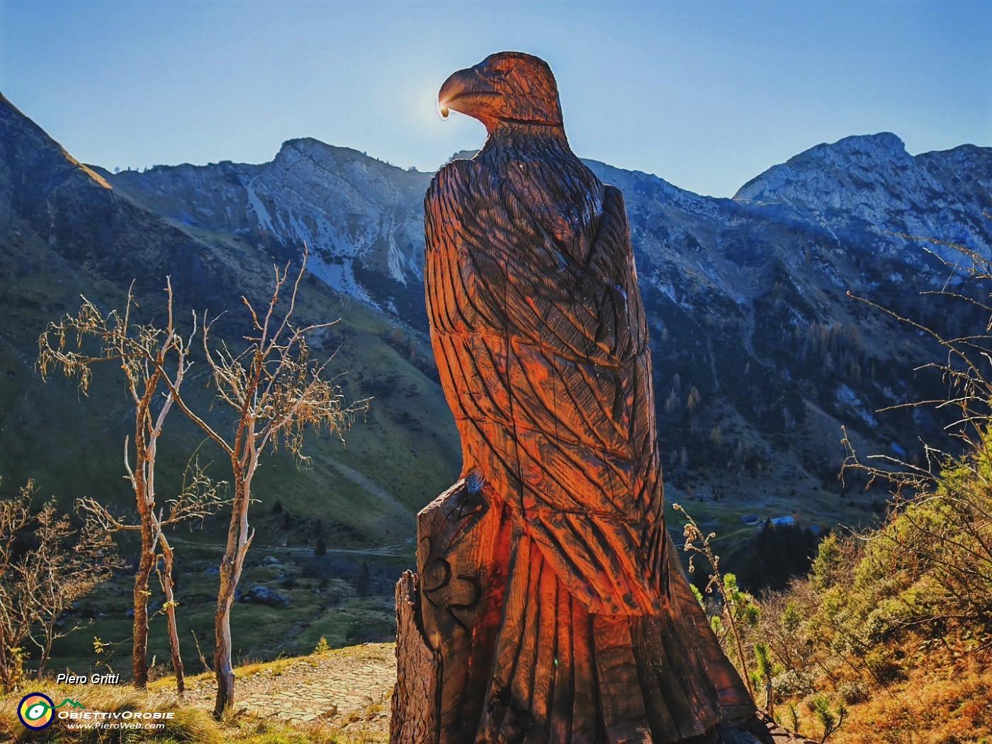 05 L'aquila scolpita in un tronco d'abete ancora radicato ...baciata dal sole !.jpg